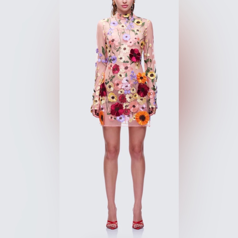 Finesse Floral Embroidered Sheer Pink Mini Dress
